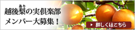 ヤマヨ果樹園応援団　越後梨の実（ありのみ）倶楽部