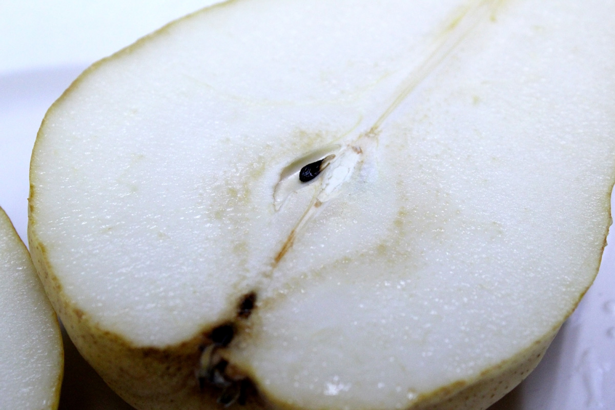 ル・レクチェ　3個　化粧箱入