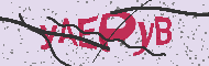 Captcha認証コード