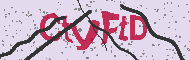 Captcha認証コード