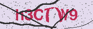 Captcha認証コード